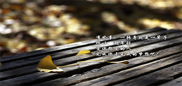 专业信息分类